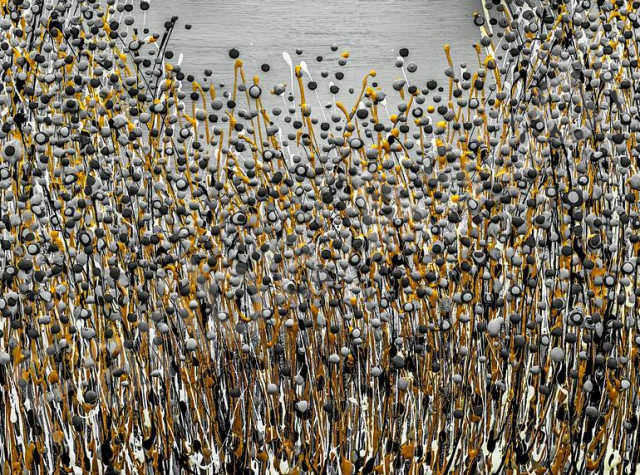 Prairie grassland in fall